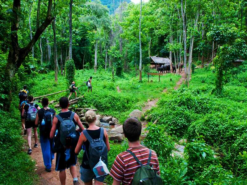 Ninh Binh Tour 2 Days 1 Night - Hoa Lu - Tam Coc - Mua Cave - Cuc Phuong National Park