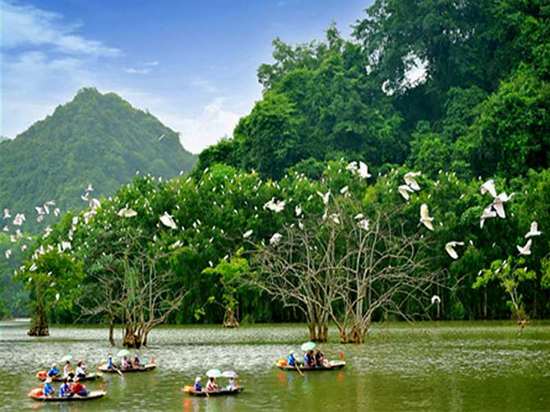 Ninh Binh Tour 1 Day - Hoa Lu - Thung Nham