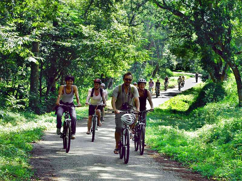 Ninh Binh Tour 2 Days 1 Night - Hoa Lu - Tam Coc - Cuc Phuong National Park