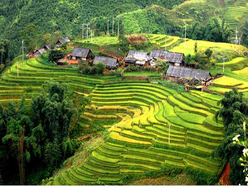 Sapa Tour - 1 Day: Ma Tra - Ta Phin Villages