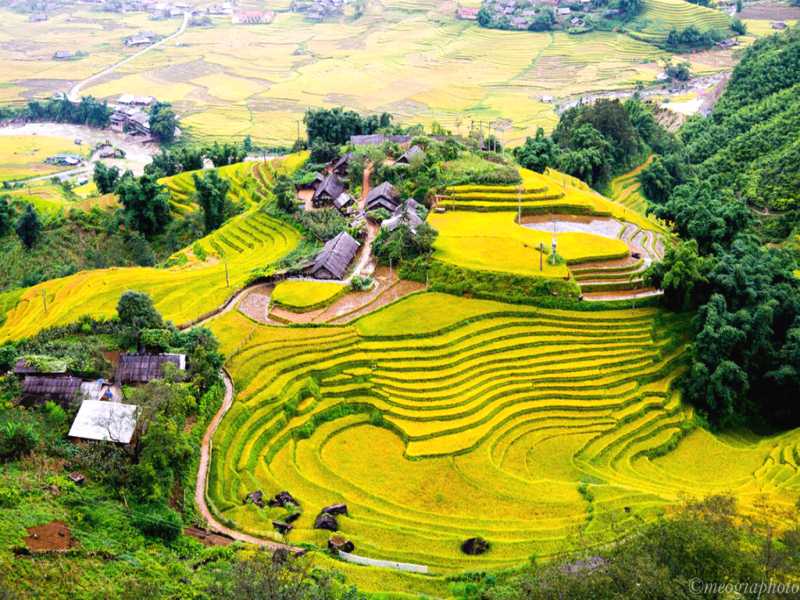 Sapa Tour - 1 Day: Y Linh Ho - Lao Chai - Ta Van Villages