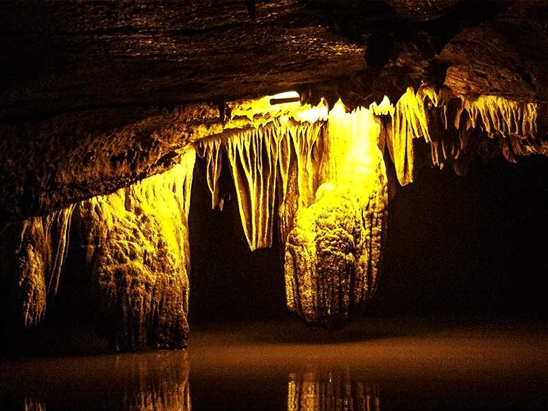 ninh-binh-tour-bai-dinh-pagoda-thien-ha-thien-thanh-cave